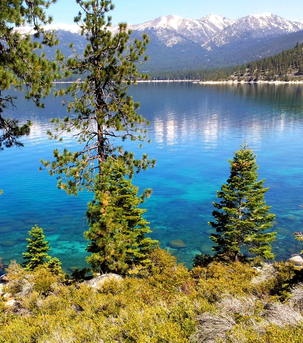 Lake Tahoe clear water